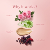 Raafiaura Pink Peta Face Mist ingredients including pink rose, Centella extract, and licorice root extract